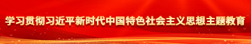 学生妹日屄学习贯彻习近平新时代中国特色社会主义思想主题教育