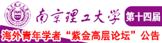 中国产电影搡逼南京理工大学第十四届海外青年学者紫金论坛诚邀海内外英才！